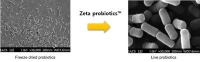 Zeta probiotics(TM)ָϸ